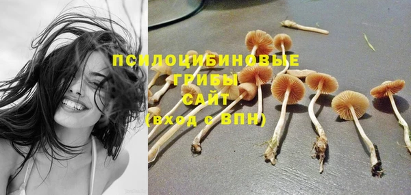 ПСИЛОЦИБИНОВЫЕ ГРИБЫ Белокуриха